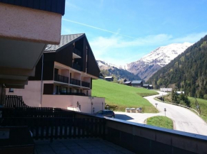 Charmant Studio 2/4 pers à 200m des pistes, balcon sud, animaux admis - FR-1-342-148
